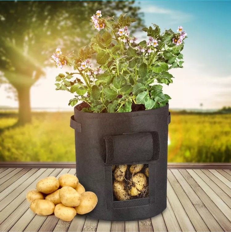 visual garden plant grow bag visual garden plant grow bag