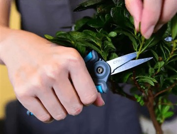 Varför lanserade vi den nya och större saxen