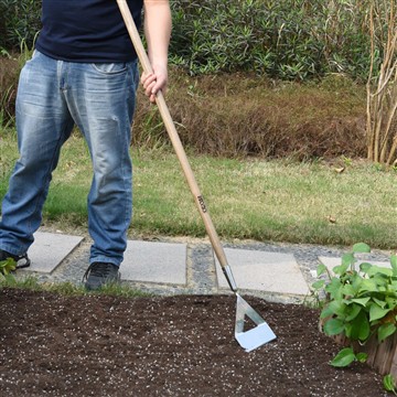 Fördelarna med att starta en grönsaksträdgård