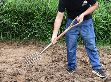 Kort introduktion av rysk trädgårdskultur