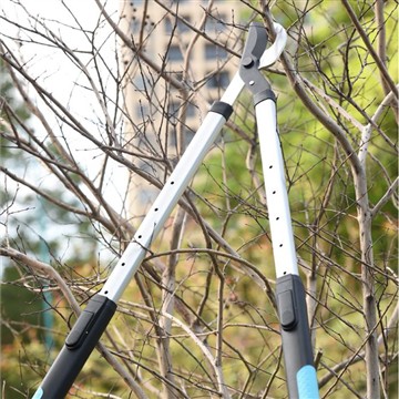 Beskärning och trimning: Att sköta min familj Garde