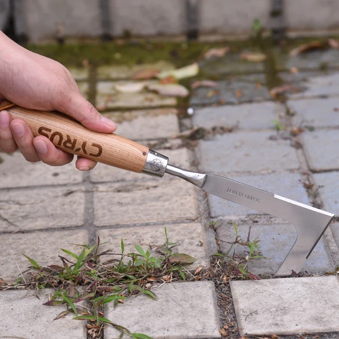 Trädgårdsrensning på ett enkelt sätt med en rostfri handogräsmaskin