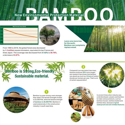 Tips för ett blomstrande paradis