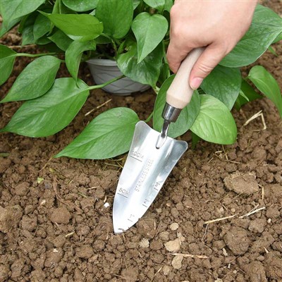 Trädgårdsplanteringsdagbok -1