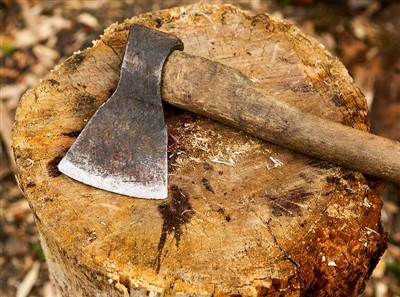 Trädskärningsverktyg och säkerhetsutrustning