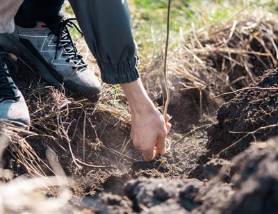 Lekfulla steg för att gräva genom rötter