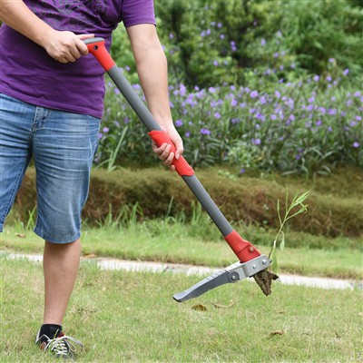 Stå upp ogräset för enkel ogräs