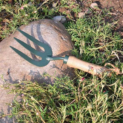 Trädgårdsredskapens vardagsäventyr