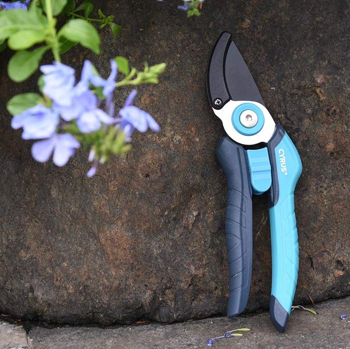 Garden Shears Display with Floral Backdrop