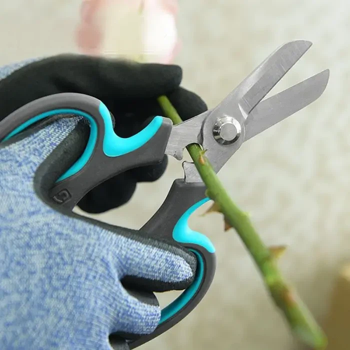 Beskärningssaxar och rosor kommer att vara en perfekt match