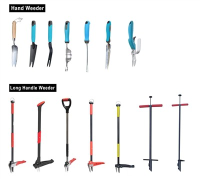 Odla grönt: Omfamna hållbarhet i din trädgård