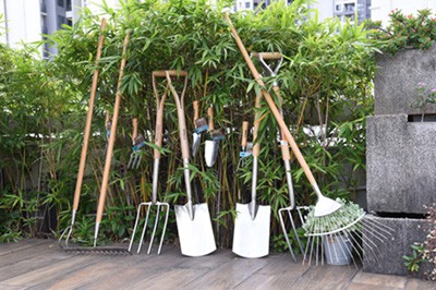 Vad B2B-köpare bör titta efter när de utvärderar tillverkare av manuella träd...