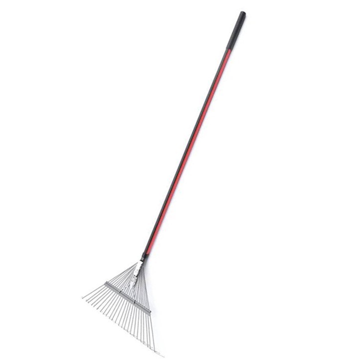 Gräsmatta Och Löv Kratta